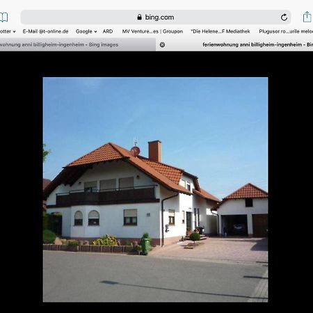 „Ferienwohnung Anni“ Billigheim-Ingenheim Bagian luar foto