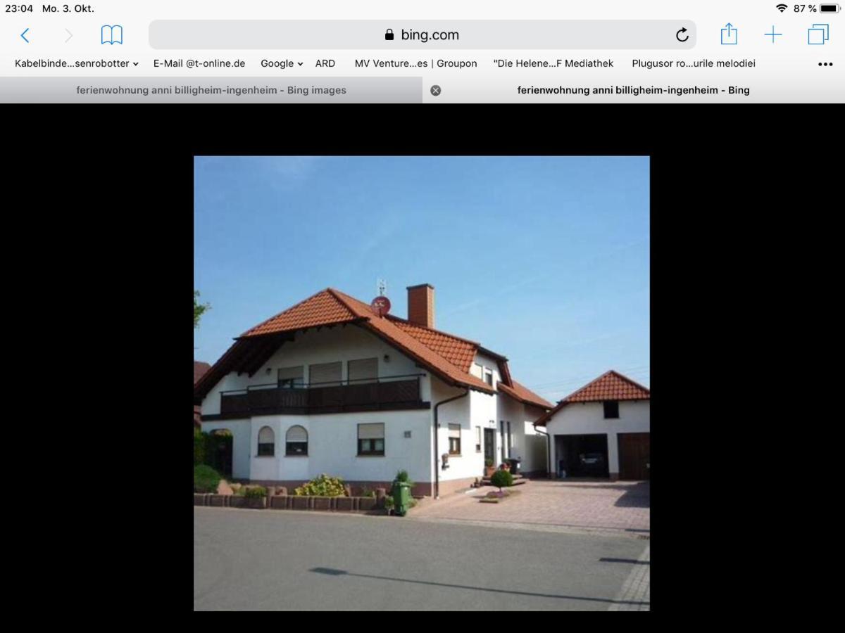 „Ferienwohnung Anni“ Billigheim-Ingenheim Bagian luar foto